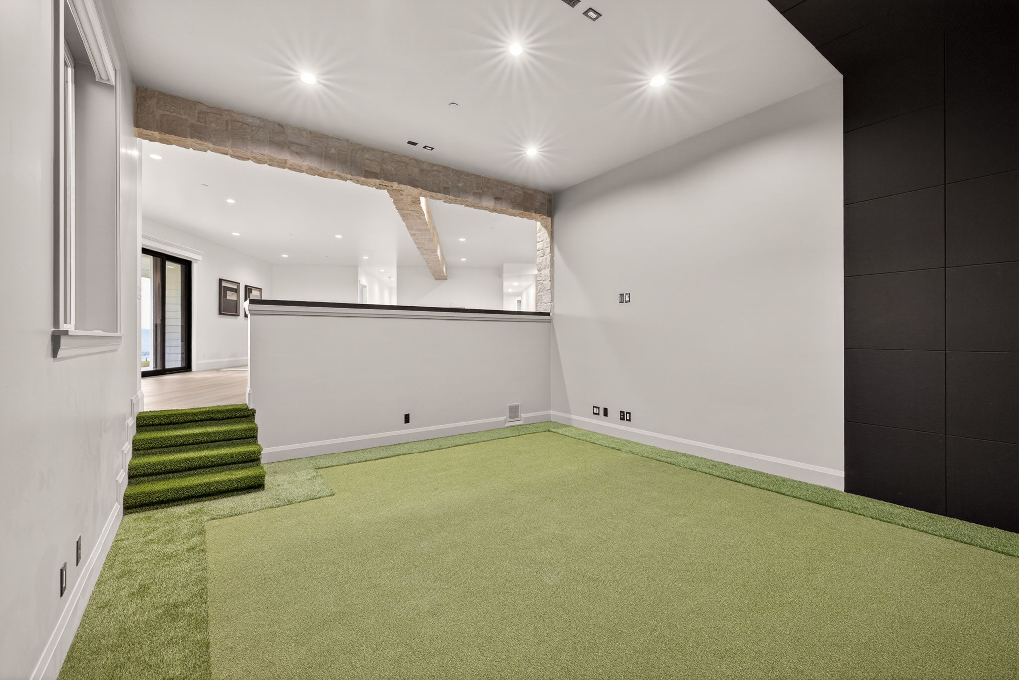 Basement entertainment area